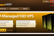 搬瓦工连接信息查看教程-搬瓦工,BandwagonHost VPS